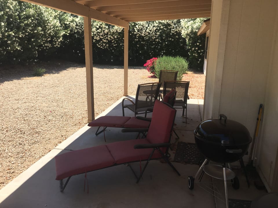 back yard and porch with grill