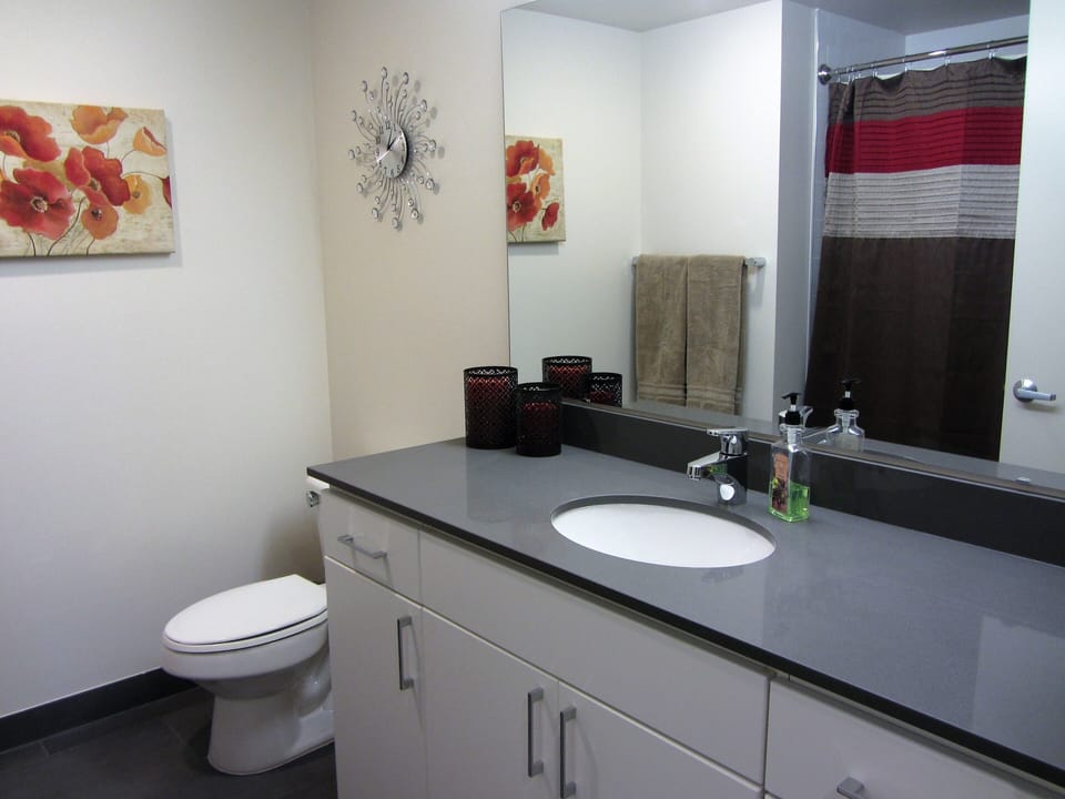 Master bathroom