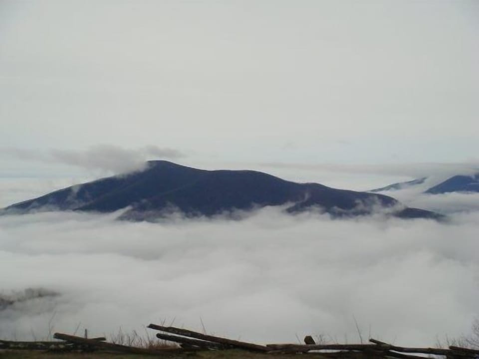 Early Morning Fog on the Scenic Overlook down the street from our house.