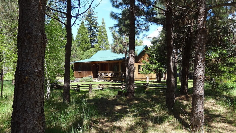 Cabin as seen through pines that surround the area