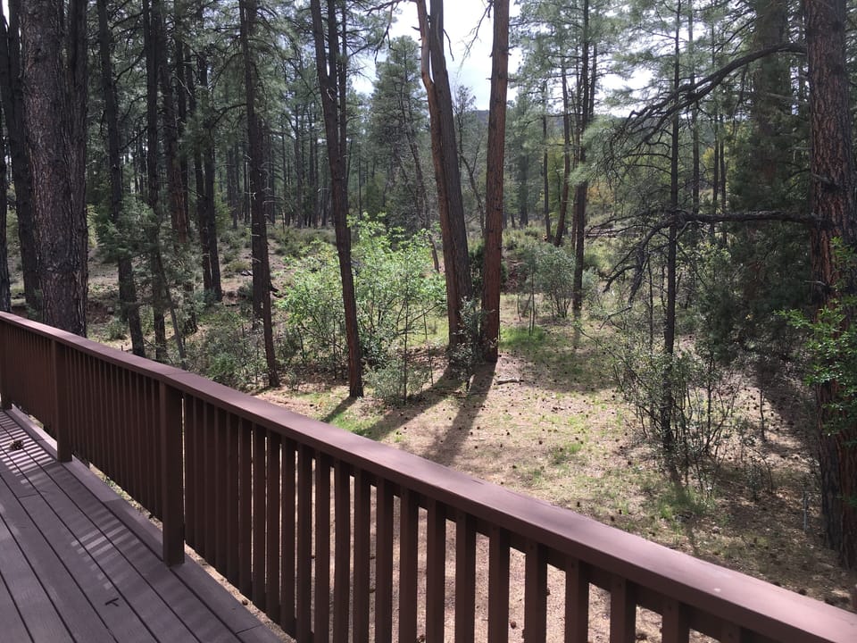 view from deck
