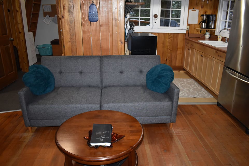 Futon sofa: makes into a small full bed.