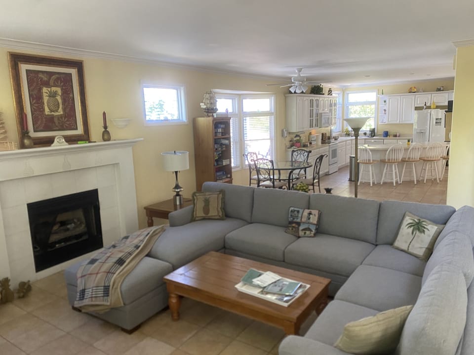 Great room with fireplace