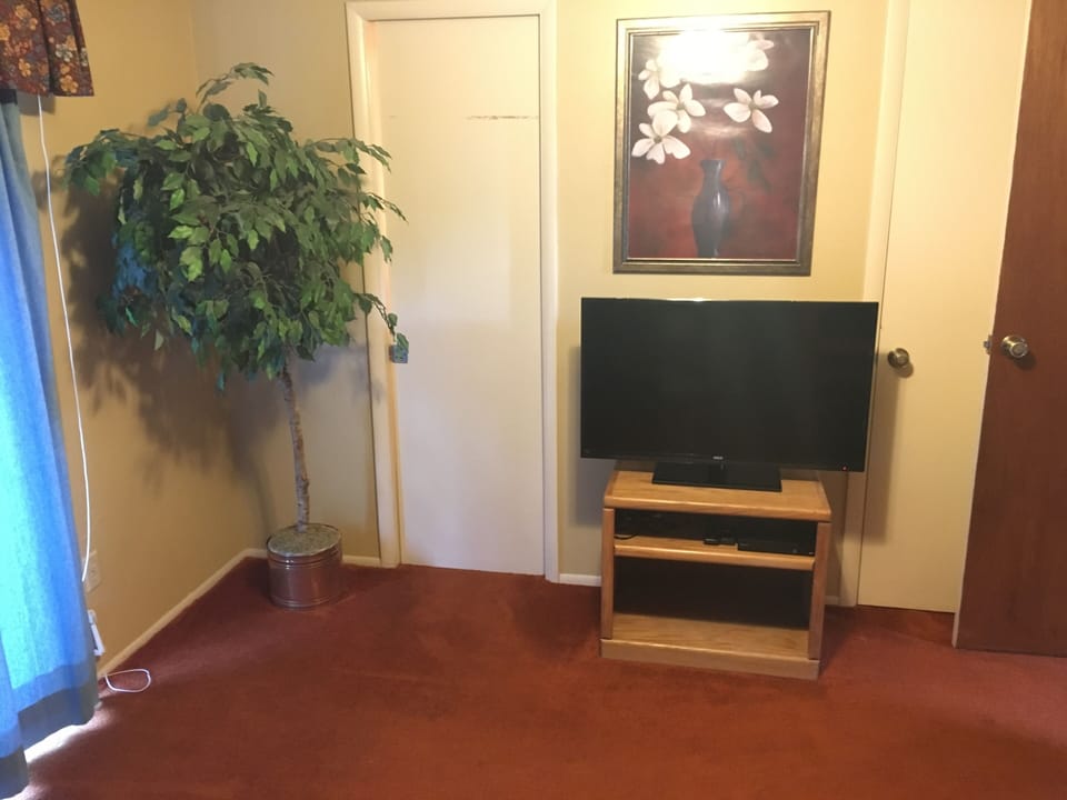 TV in Bunk Bedroom
