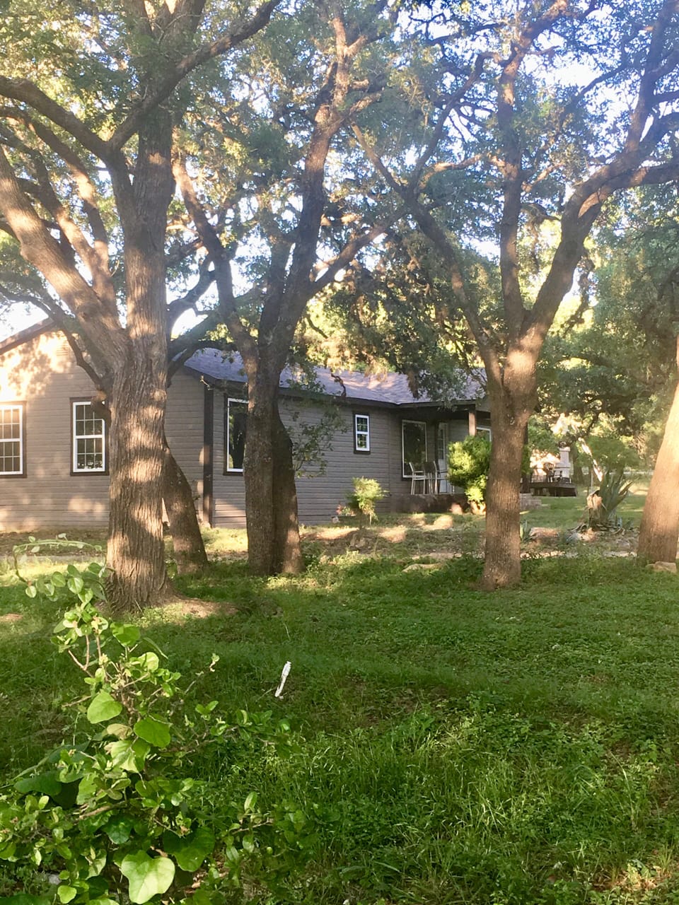 Bungalow