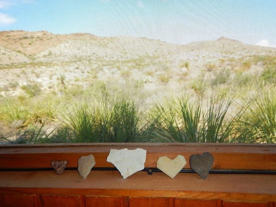 Screened-Off Porch