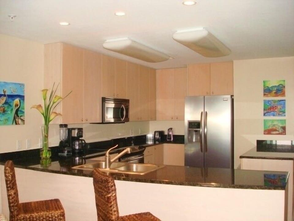 Kitchen with everything the gourmet requires.  Original artwork.