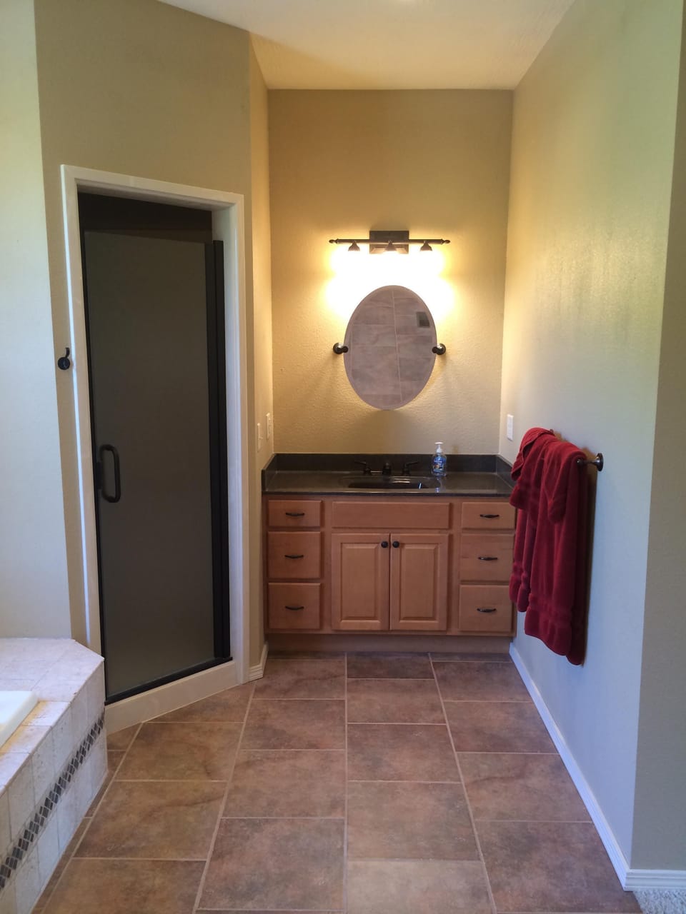 Master bath sink and shower