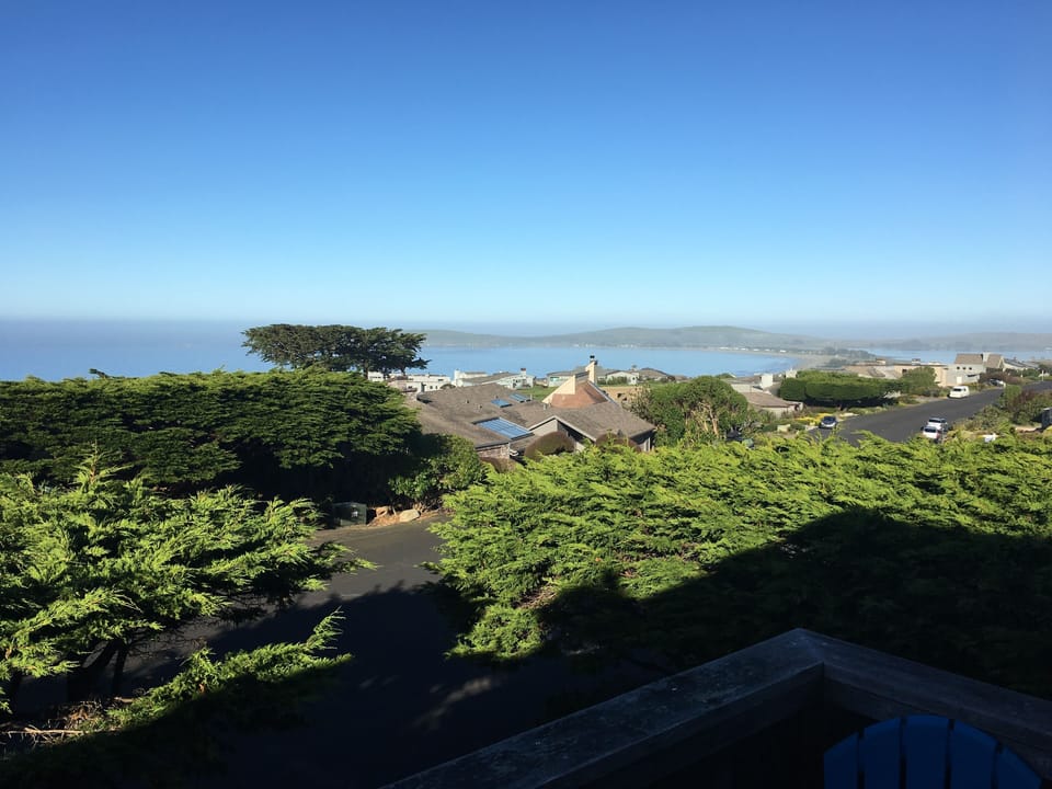 View on a Sunny Day.