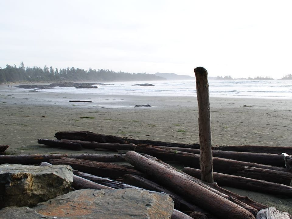 Chesterman Beach