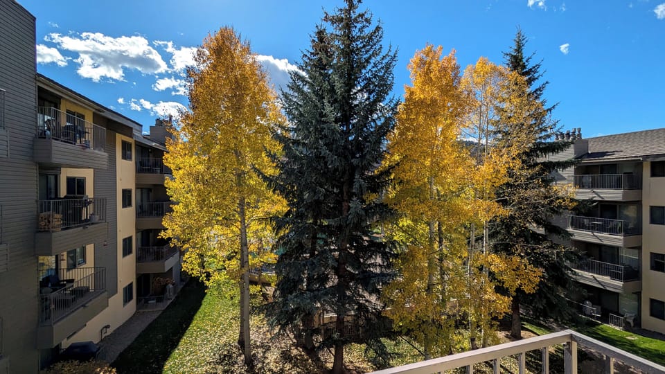 View from balcony