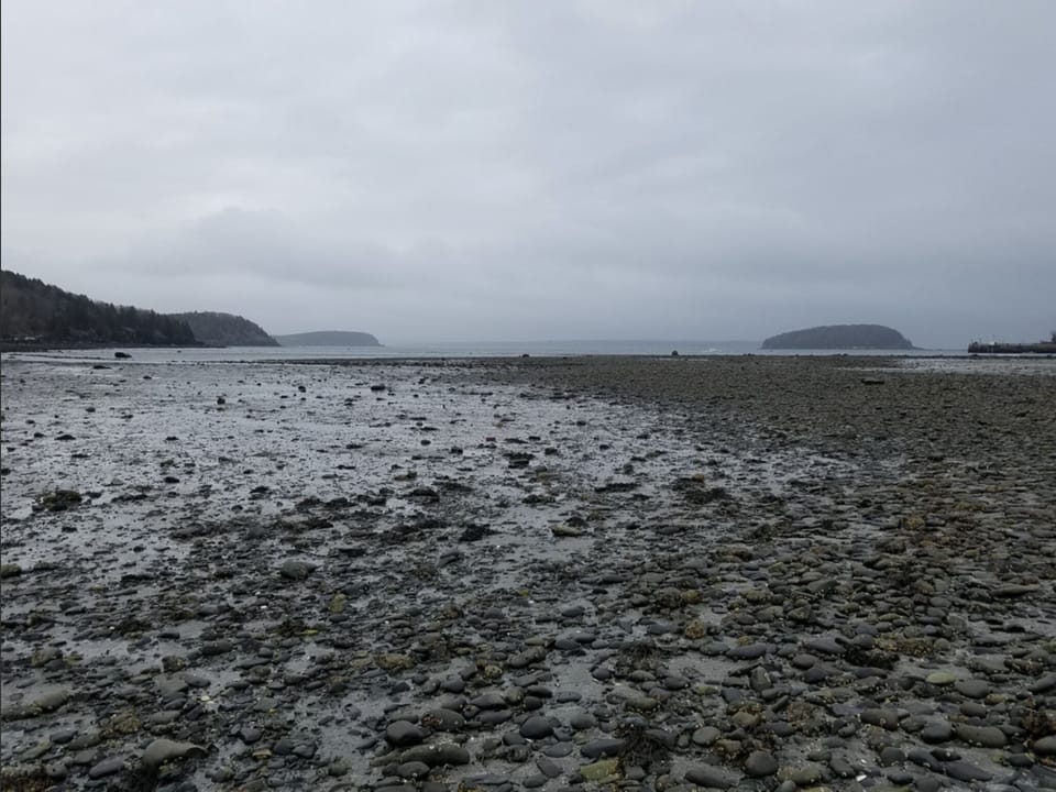 The view from an inlet near Bar Harbor