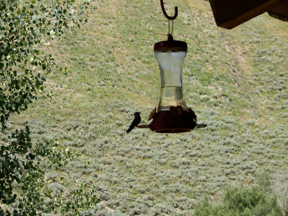 Relax on the front porch and watch the Hummingbirds!