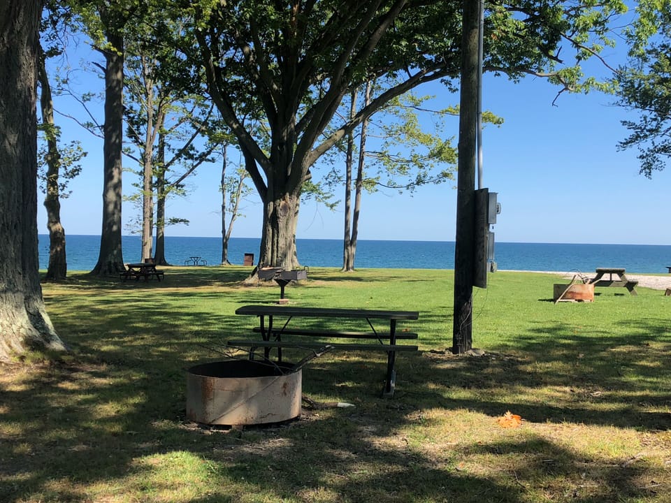 Shared Picnic area