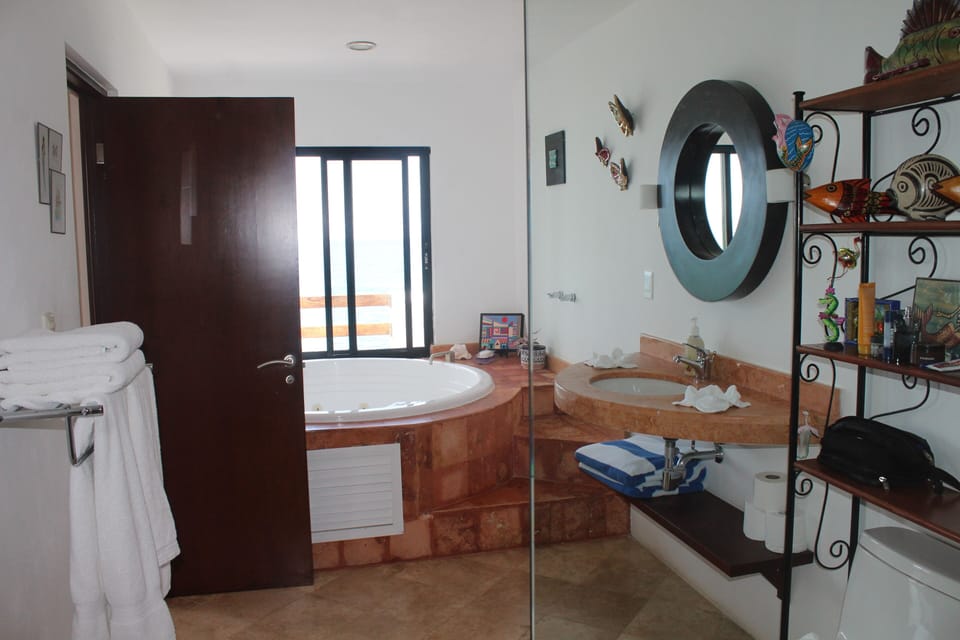 master bathroom with sauna