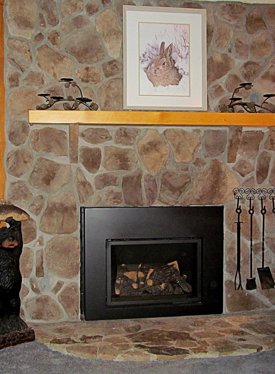 Propane fireplace, No wood to carry. Yea!