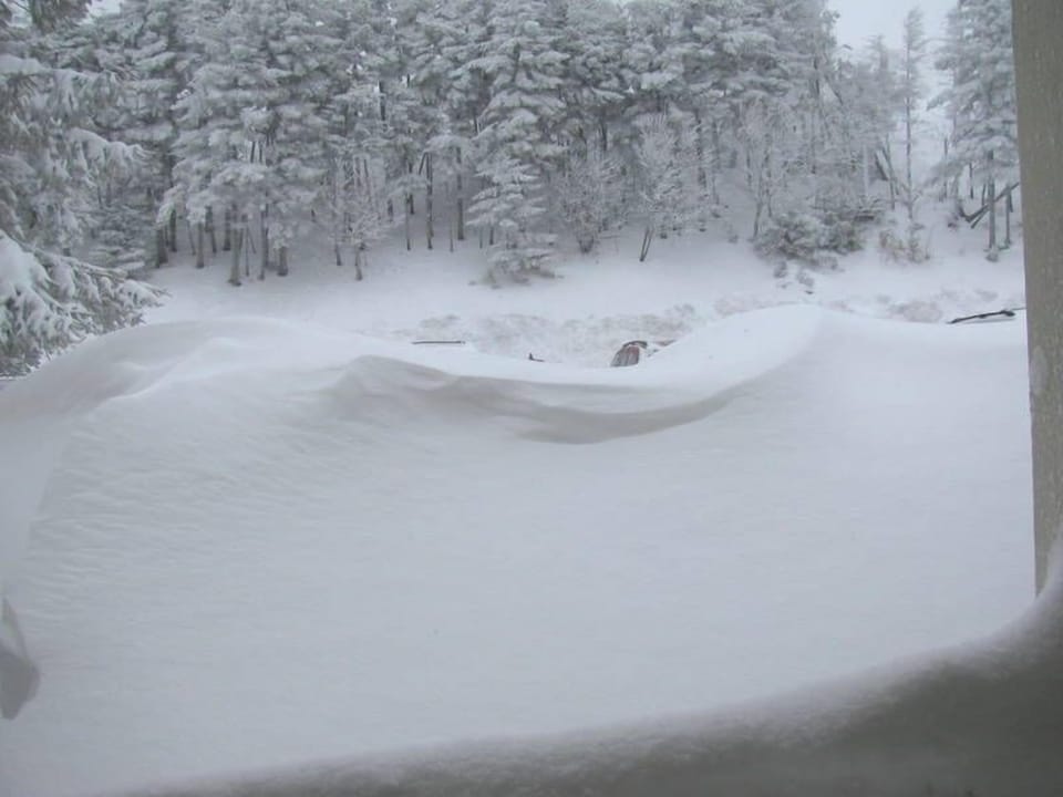 Winter View From Front Door. Can you see the top of the car? 