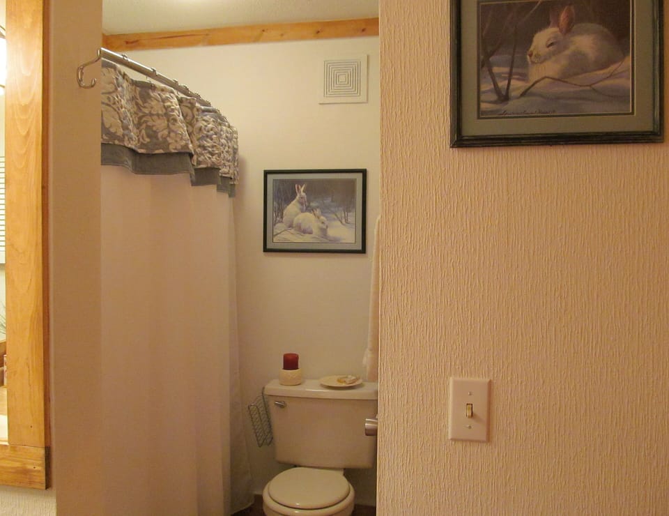Master bathroom with sauna