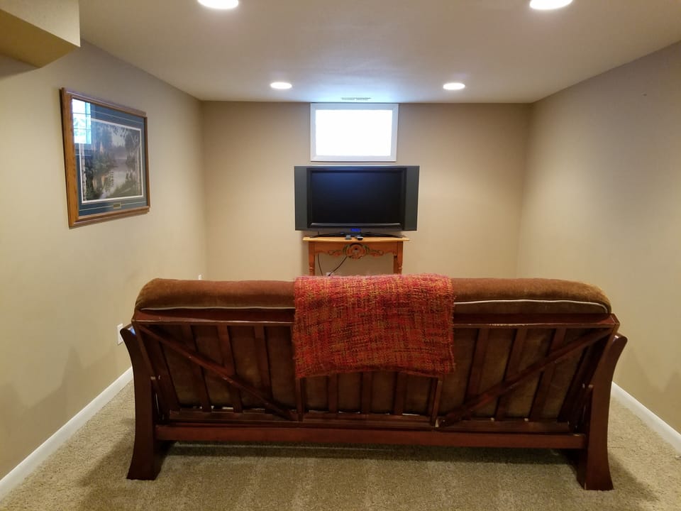 Lower Level Sleeper Sofa & Flat Screen