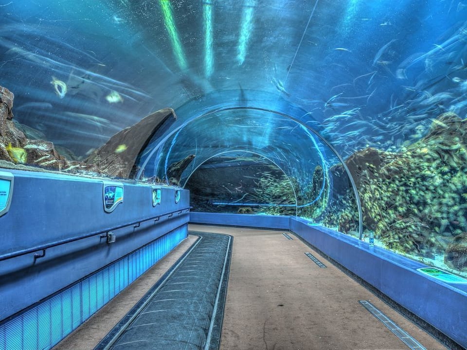 Georgia Aquarium