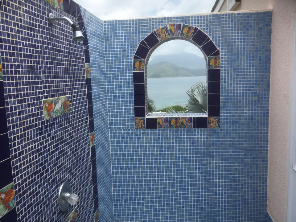 Master Bath Outdoor Shower