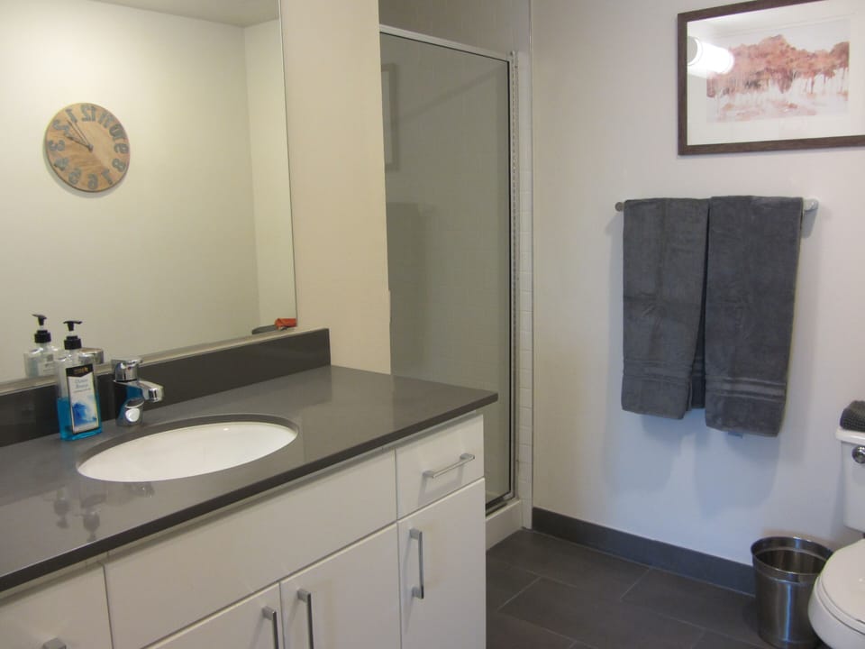 Master bathroom with shower