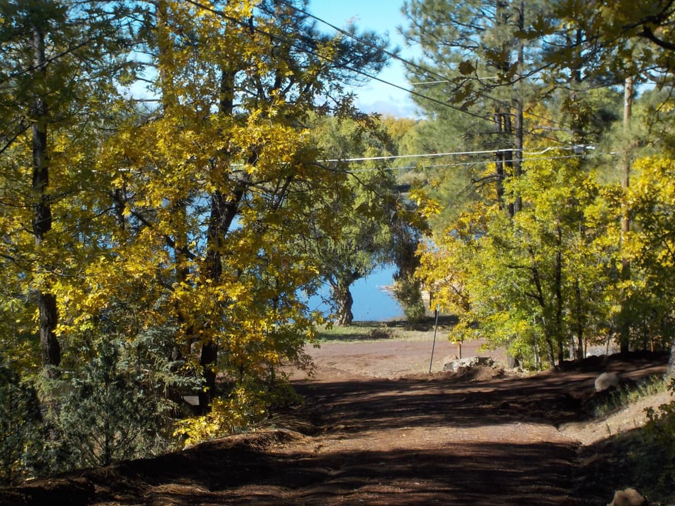 FALL VIEW FROM DRIVEWAY TO THE LAKE