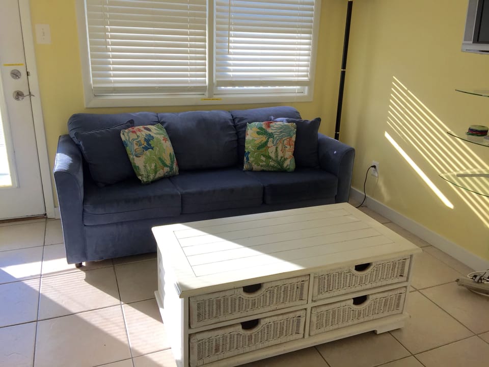 Living Room (sleeper sofa - queen size) and a flat screen TV