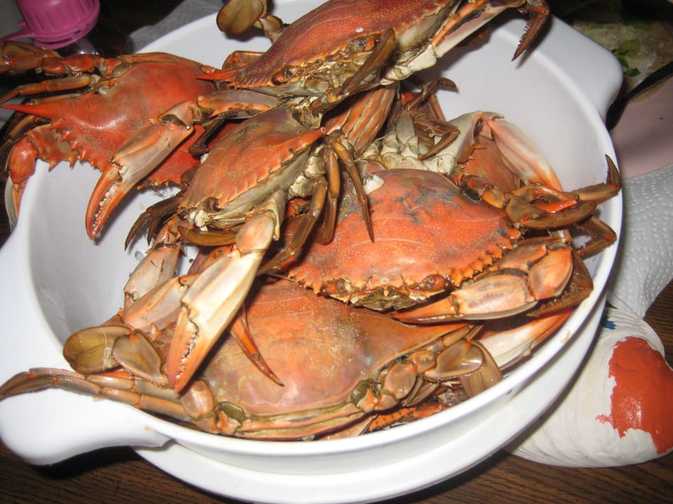 Fresh crabs!!! That's what's for dinner! We caught em'  & cooked em'