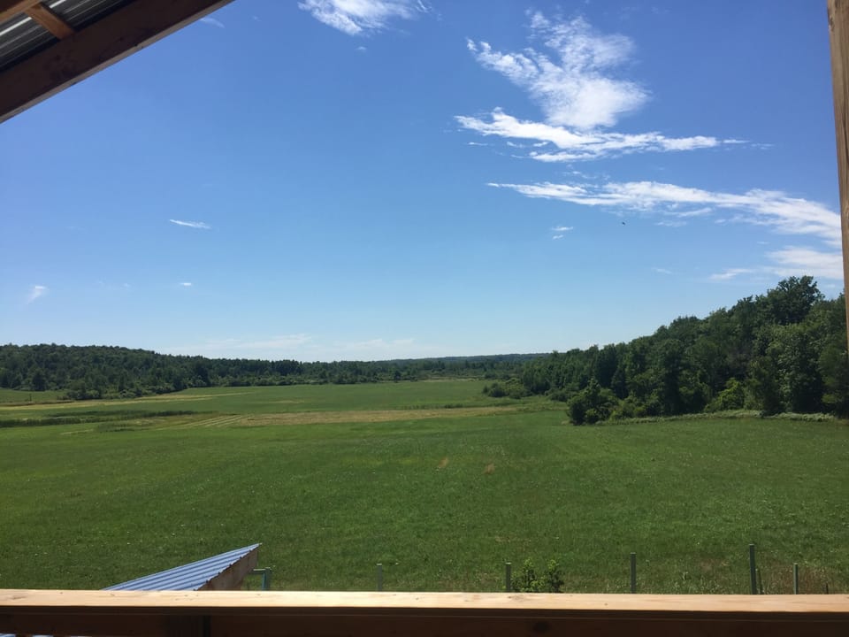 What a view!
