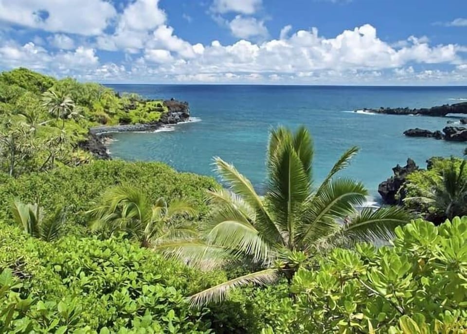 Hana ocean view