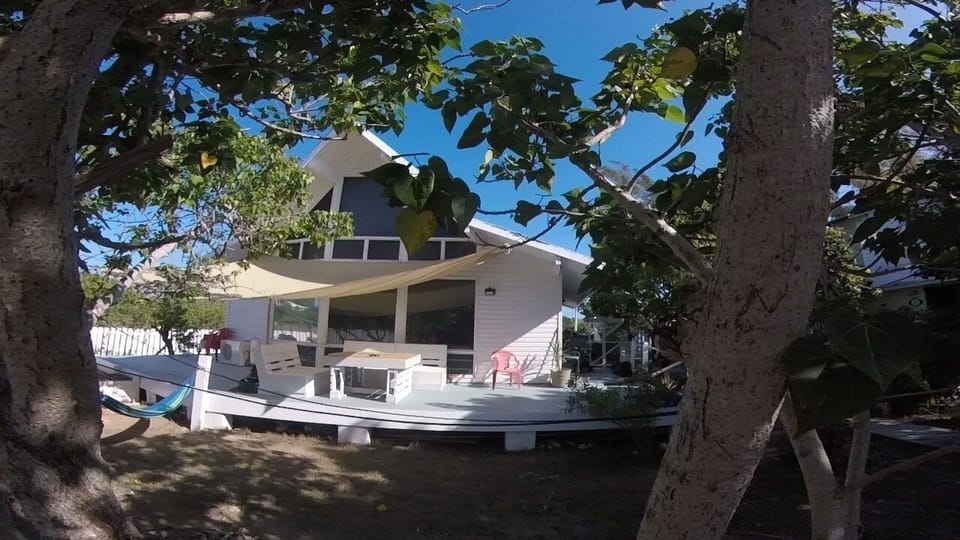 Wrap around deck and back yard