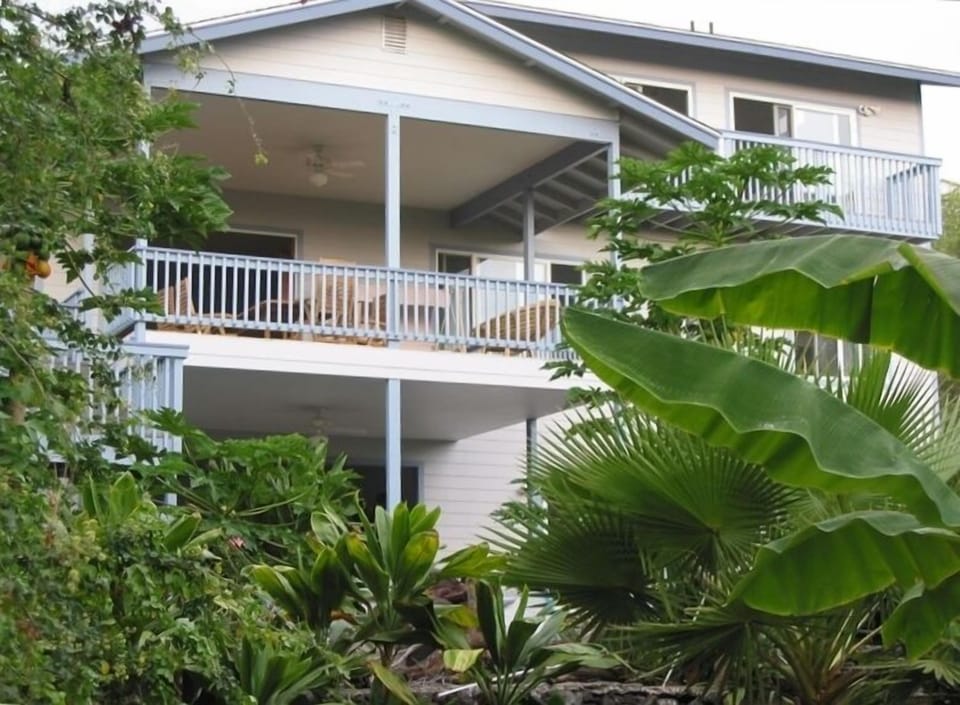 Sip Kona Coffee on the Lanai: ! Dream ~ Swim ~Fun Adventures