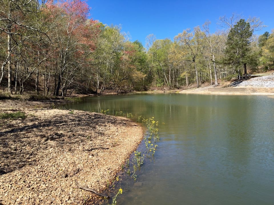 A spring view of all the shoreline to explore