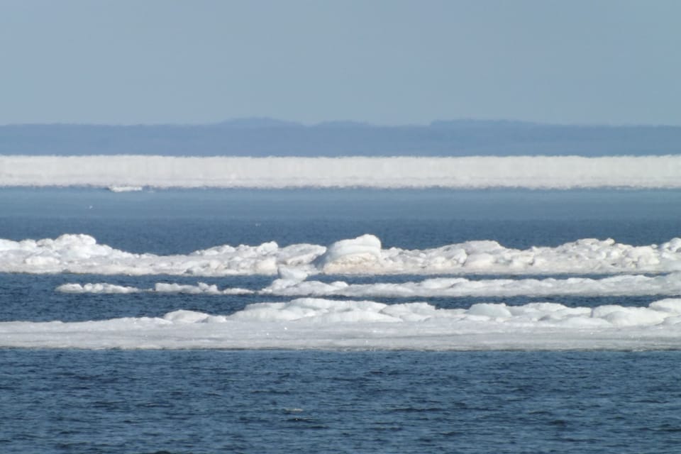 winter can be fun too !