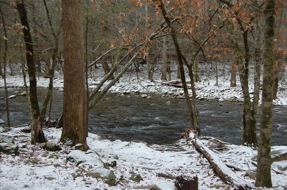 Snow Flakes by the river/ 5 minutes from cabin fever