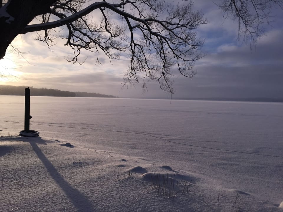 View of Lake from Yard