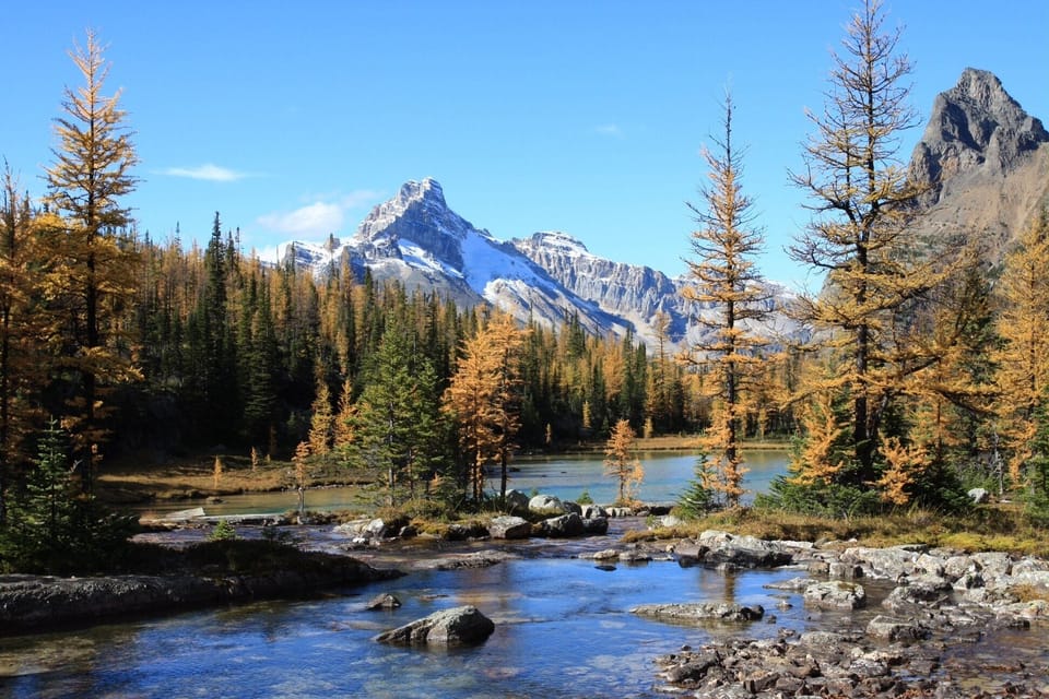 Cascade Lakes in Lake O'Hara area, reservation required.