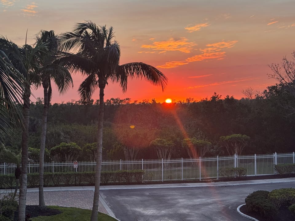 From our balcony January, 2025