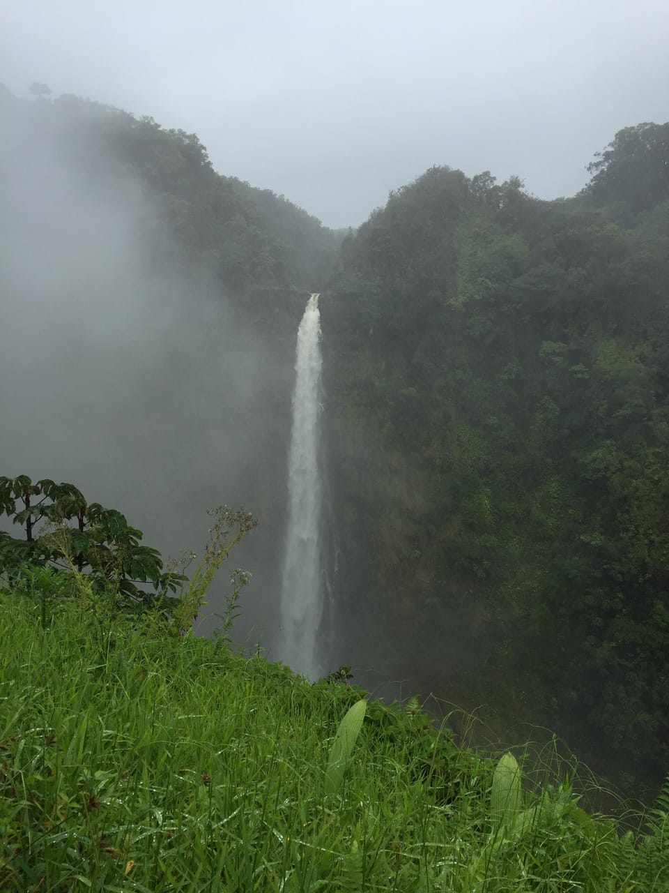 Akaka Falls, just north of Hilo