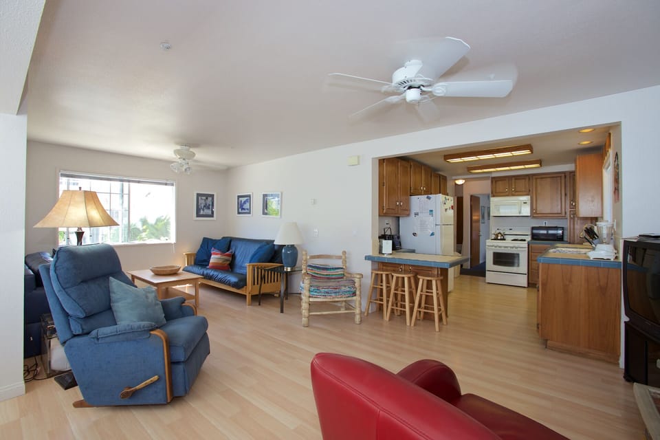 Downstairs living and kitchen