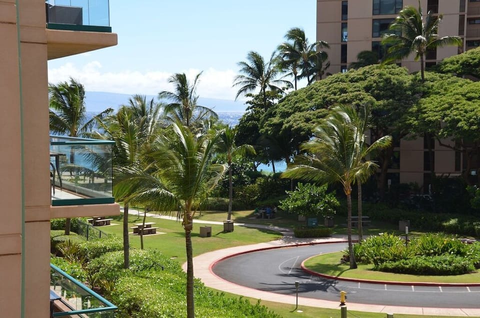 View from the lanai