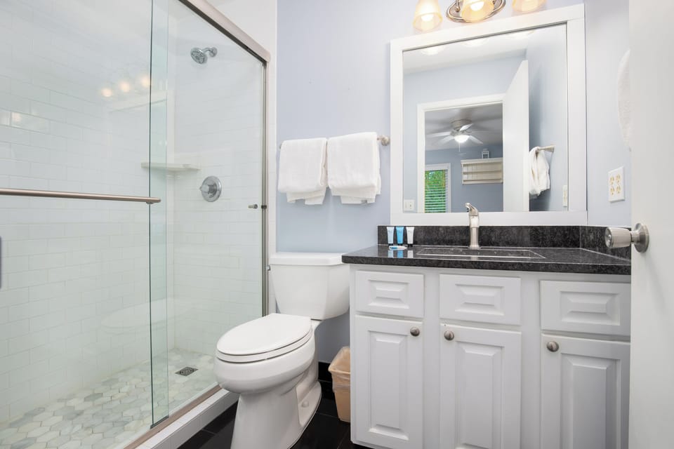 Fully remodeled master bathroom