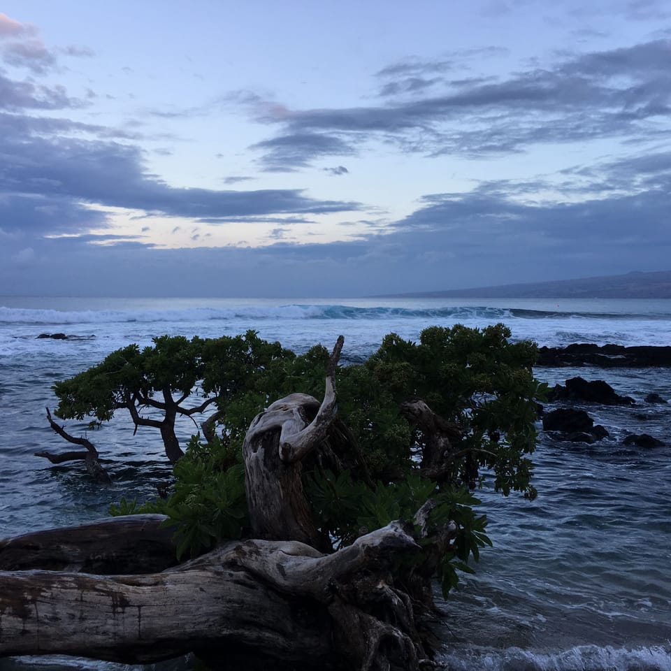 Early morning Beach near the Fairmont Orchid