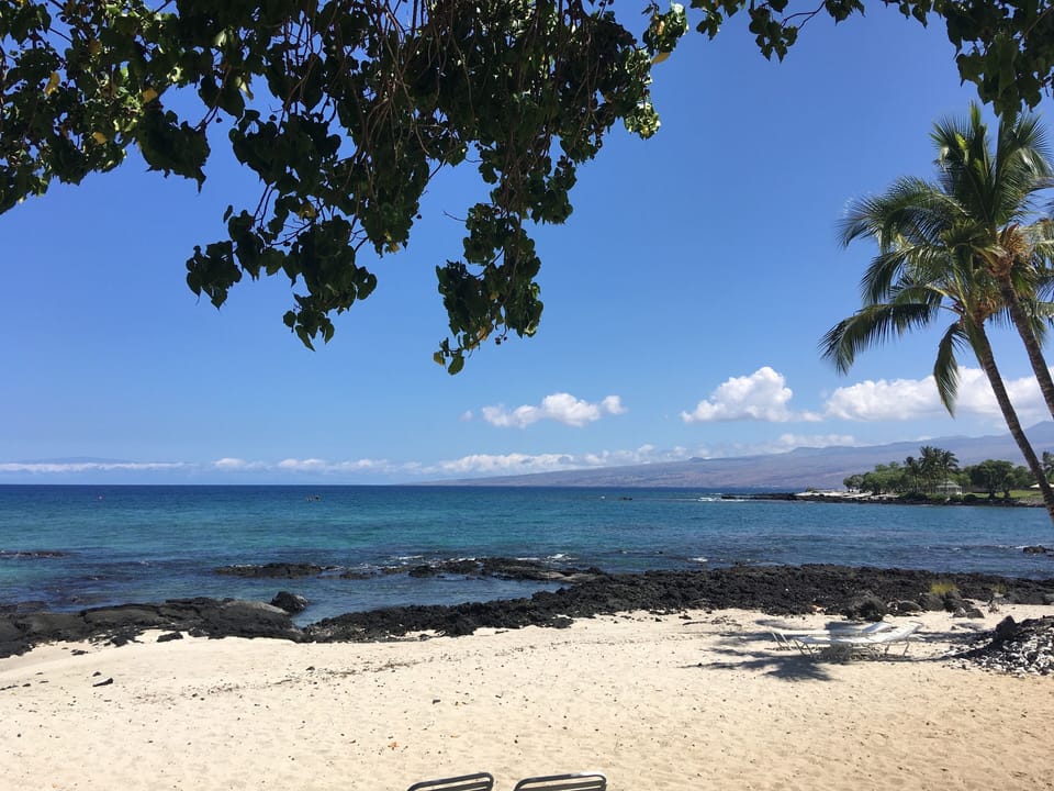 Just another day in Paradise