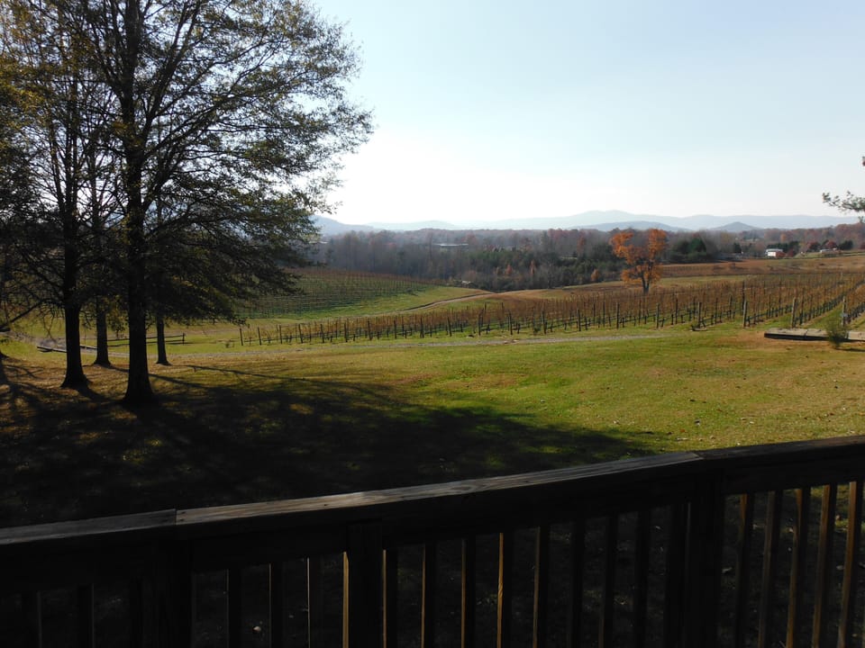 Back deck view of vineyards