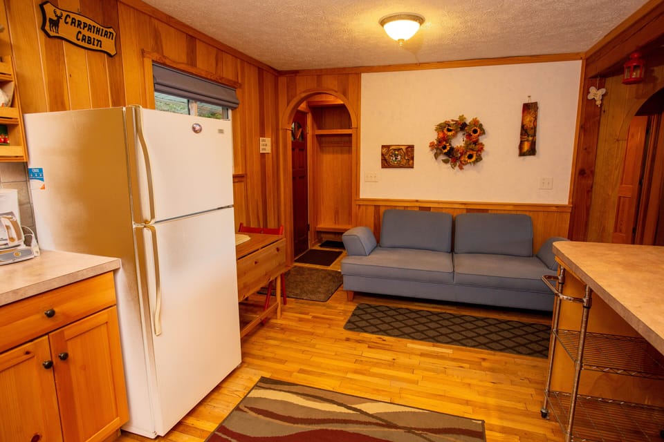 Main cabin entrance - into kitchen