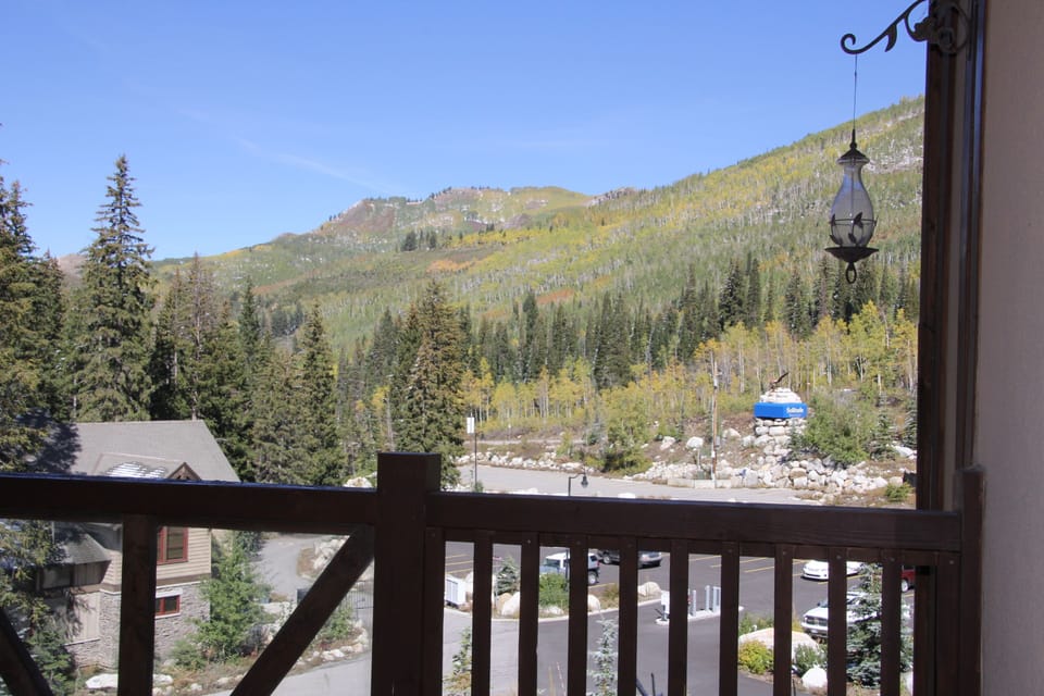 View From Deck