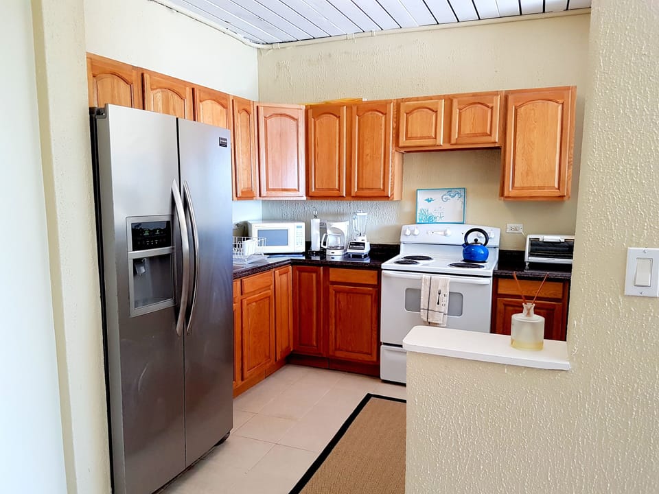 Full kitchen with stove, oven, ice maker, microwave, toaster oven, plates, etc.