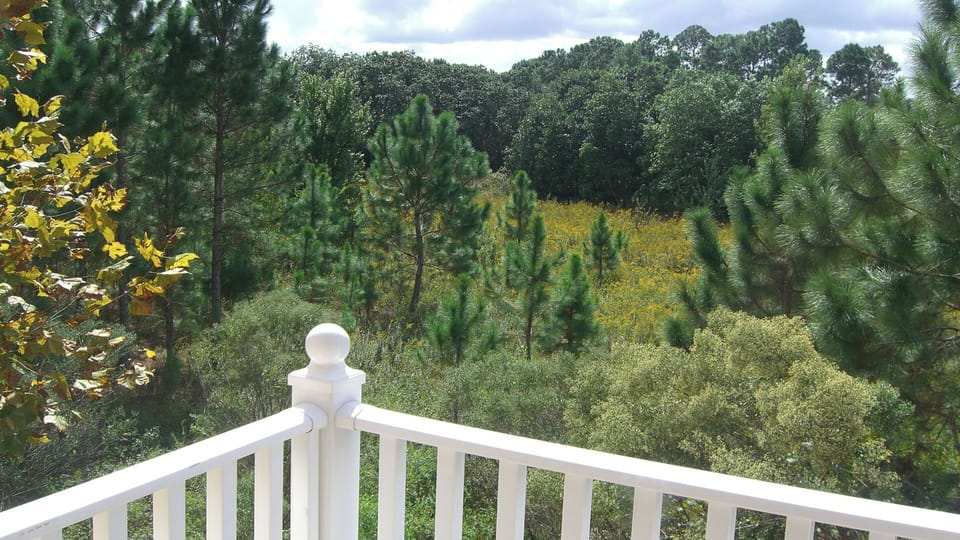 View from Master Balcony